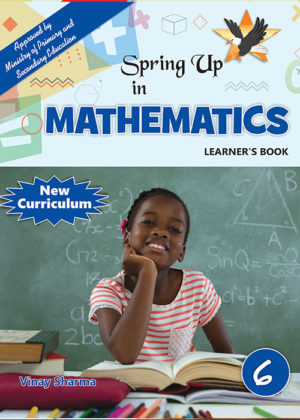 Mathematics Learner's Book Grade 6