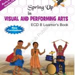 Visual-and-Performng-Arts-Learner's-Book-ECD-B