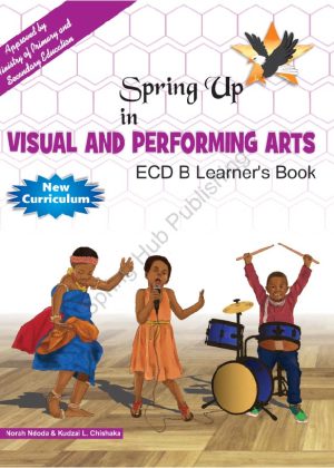 Visual-and-Performng-Arts-Learner's-Book-ECD-B
